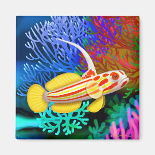 Yasha Hase Shrimp Goby Fish Magnet