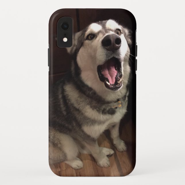 Yawning Alaskan Malamute Photograph Case-Mate iPhone Case (Back)