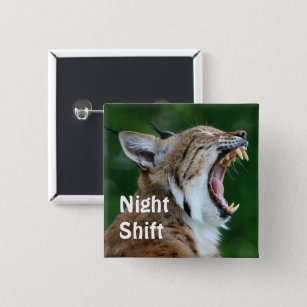 Yawning Bobcat 2 Inch Square Button