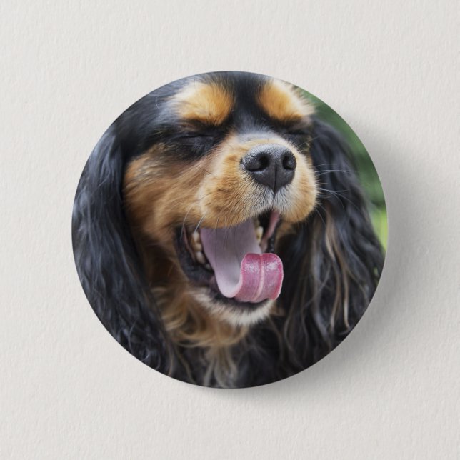 Yawning Cavalier King Charles Spaniel 2 Inch Round Button (Front)