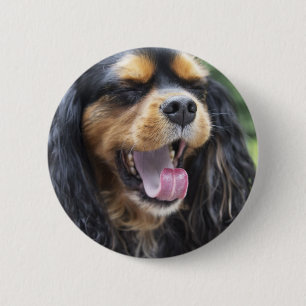 Yawning Cavalier King Charles Spaniel 2 Inch Round Button
