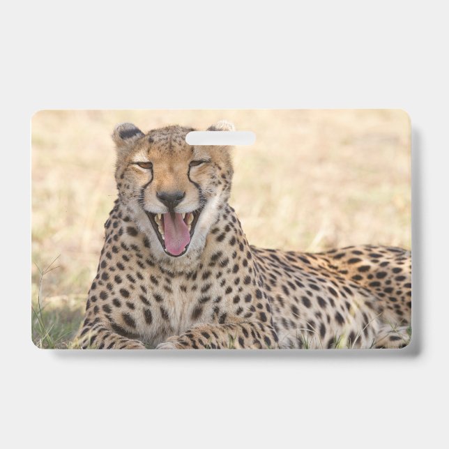 Yawning Cheetah Badge (Front)