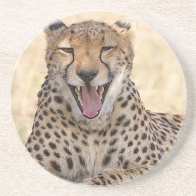 Yawning Cheetah Coaster (Front)