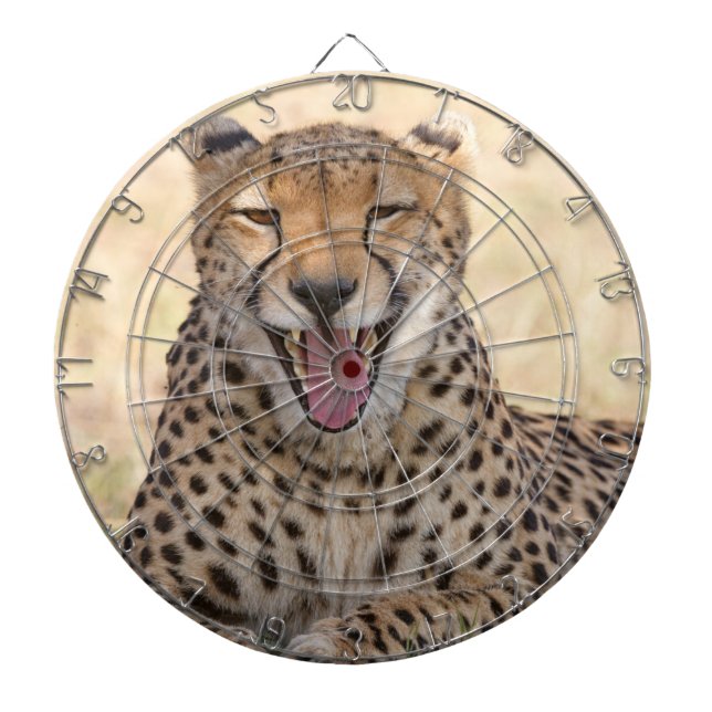 Yawning Cheetah Dartboard (Front)