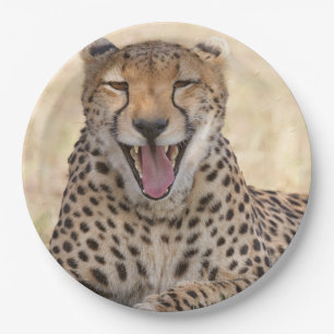 Yawning Cheetah Paper Plate