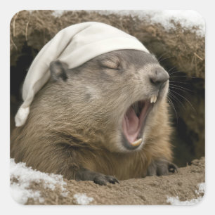 Yawning Groundhog Wearing a Nightcap Square Sticker