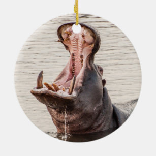 Yawning Hippo Ceramic Ornament