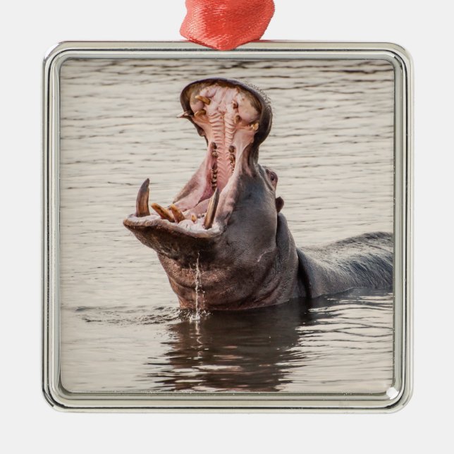 Yawning Hippo Metal Ornament (Front)