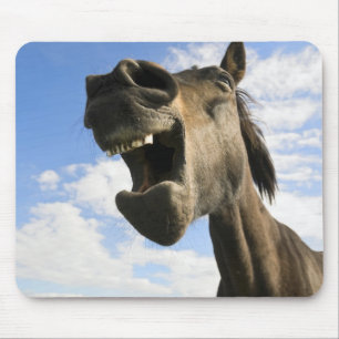 Yawning horse mouse pad