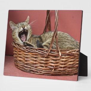Yawning Kitty Cat Plaque