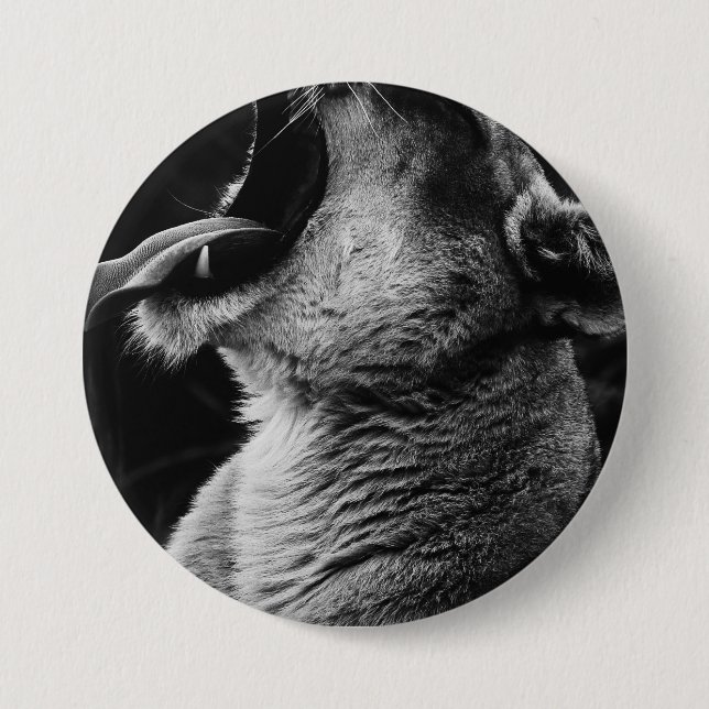 yawning lion 3 inch round button (Front)