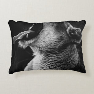 yawning lion accent pillow