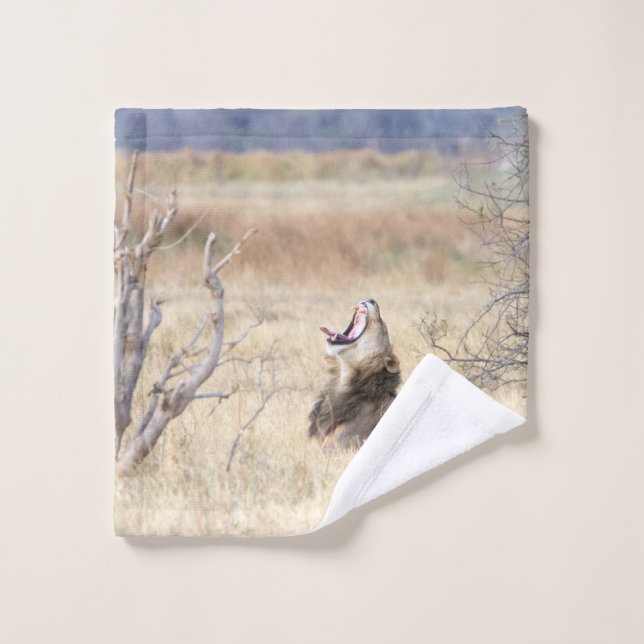 Yawning lion bath towel set (Wash Cloth)