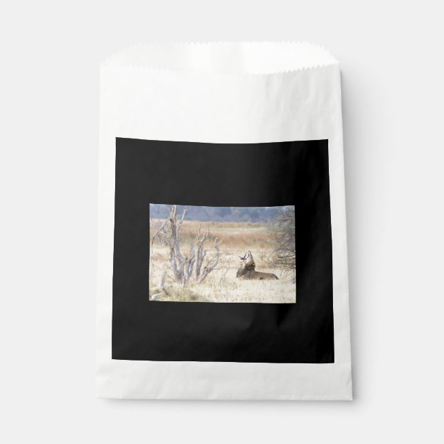 Yawning lion favour bag (Front)