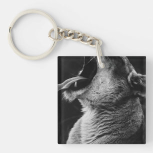 yawning lion keychain