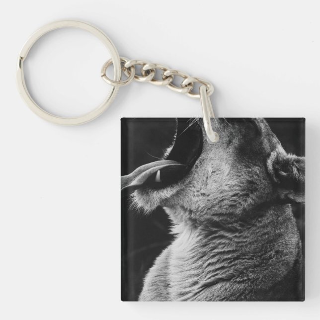yawning lion keychain (Front)