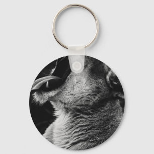 yawning lion keychain