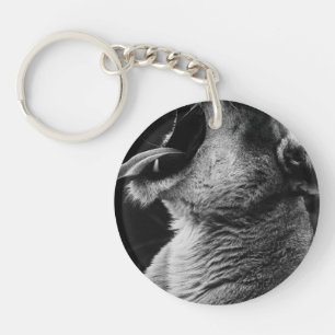yawning lion keychain