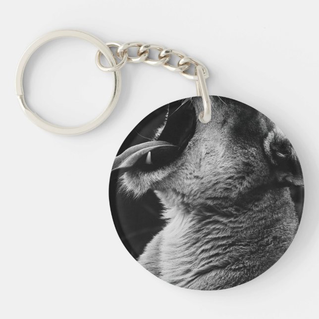 yawning lion keychain (Front)