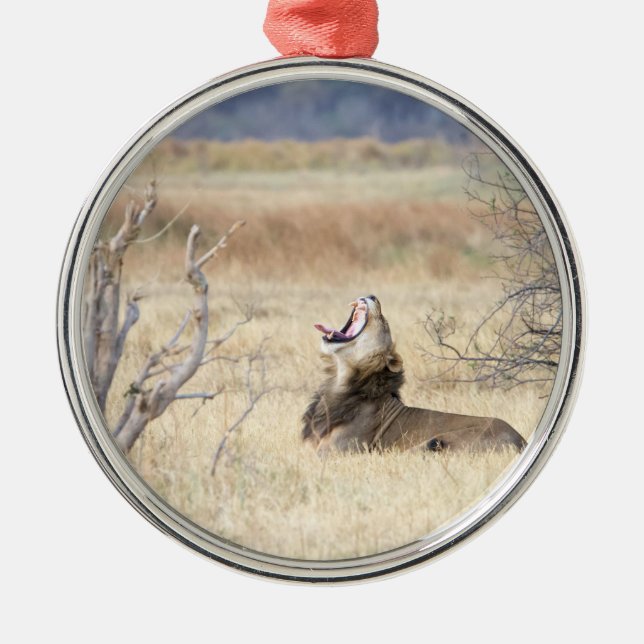 Yawning lion metal ornament (Front)