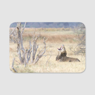 Yawning lion name tag