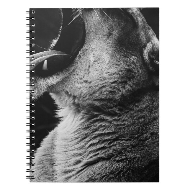 yawning lion notebook (Front)