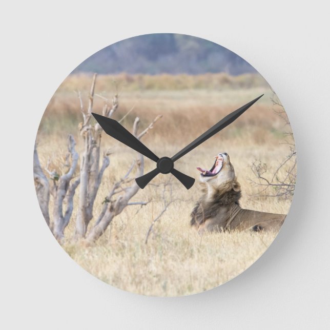 Yawning lion round clock (Front)