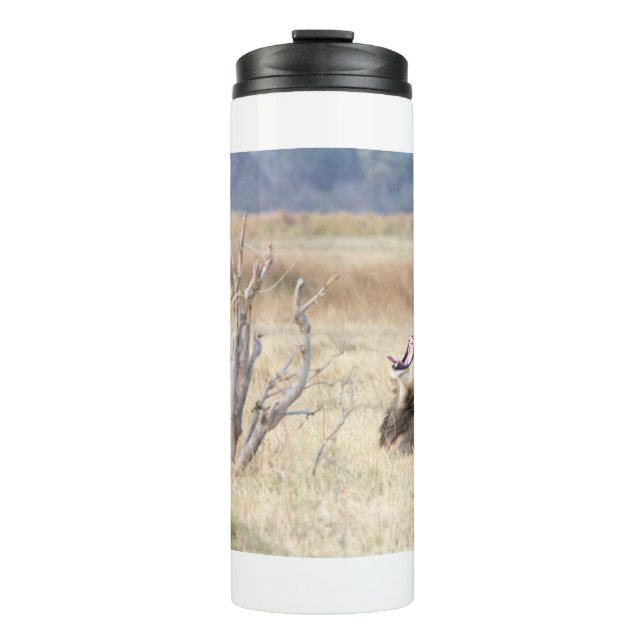 Yawning lion thermal tumbler (Front)