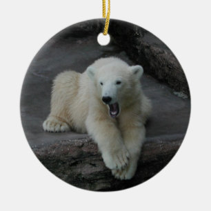 Yawning Polar bear cub Ceramic Ornament