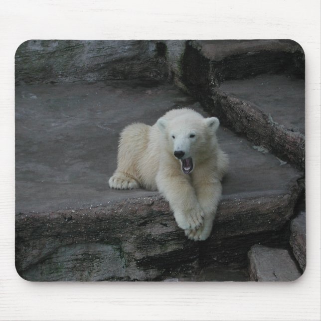 Yawning Polar bear cub Mouse Pad (Front)