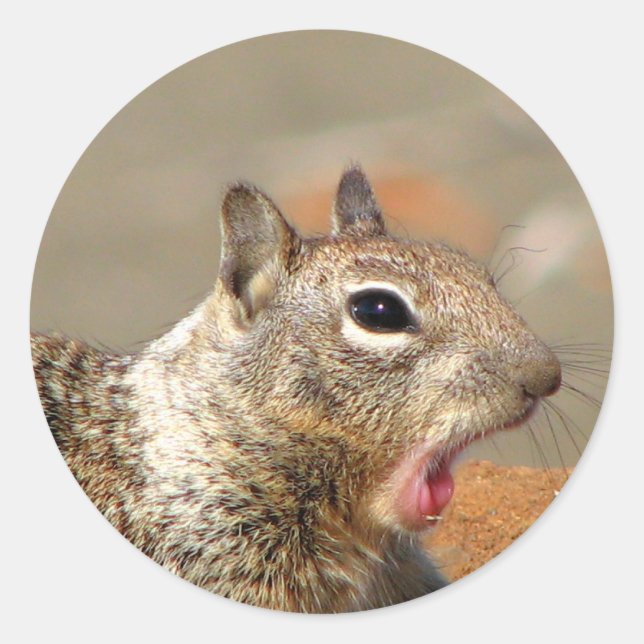 Yawning Squirrel Sticker (Front)