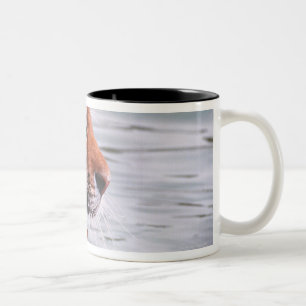 Yawning Tiger in Water Two-Tone Coffee Mug