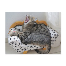 Yawning Tired Kitty Chat jolie carte postale