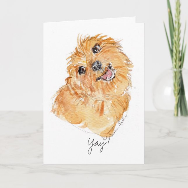 YAy! b'day card YDP Dog Thoughts (Front)