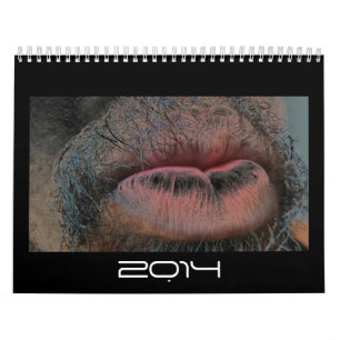 Year In Year Out Calendar