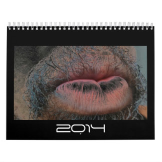 Year In  Year Out Calendar