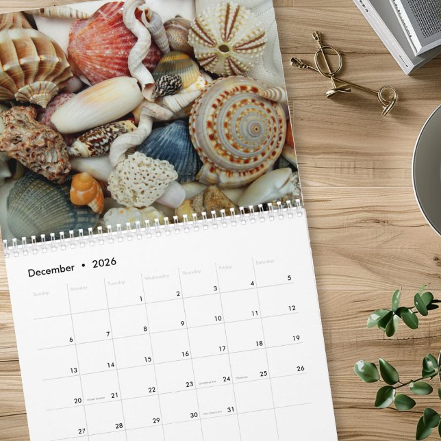 Year Long Seashell Photography Calendar (Creator Uploaded)