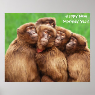 Year Of The Fire Monkey Poster