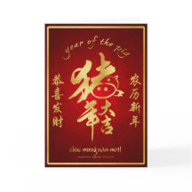 Year of the Pig - Vietnamese (tet) New Year 2019