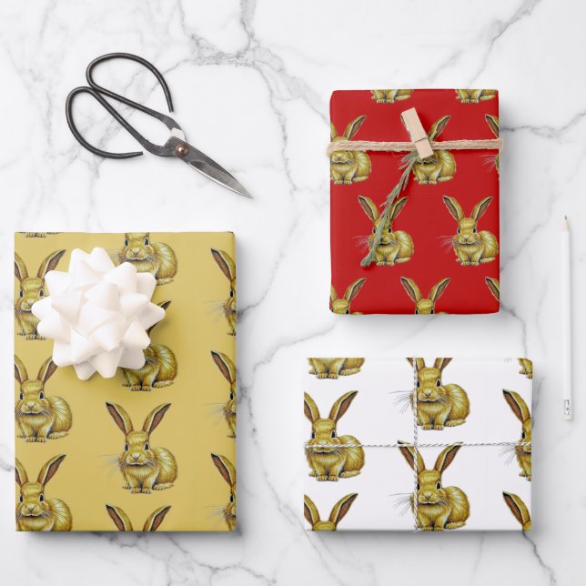 Year of the Rabbit Chinese New Year Zodiac Animal Wrapping Paper Sheet (Front)