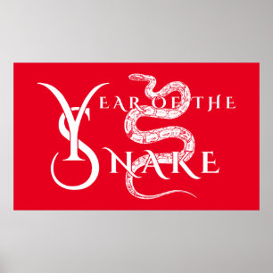 Year of the snake poster