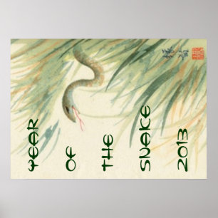 Year of the Snake poster