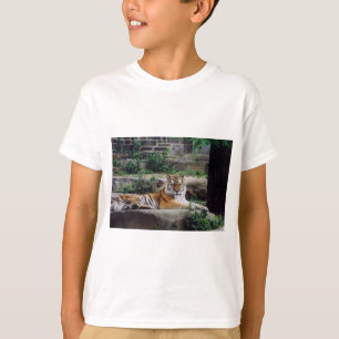 Year of the Tiger T-Shirt