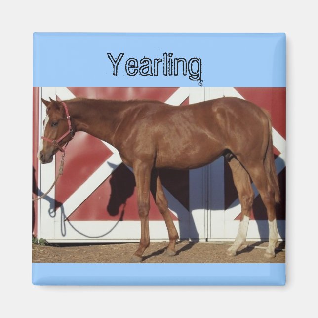 Yearlling Magnet (Front)