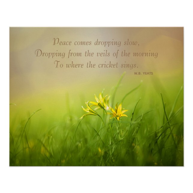 Yeats Citation Matin Sunshine Poster (Devant)