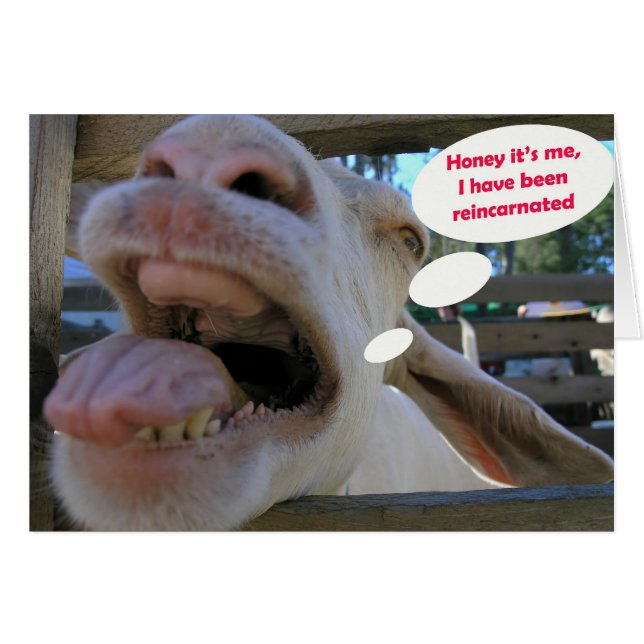 Yee Haw Goat - cards (Front Horizontal)