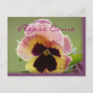 yel&pk Pansy Invitation- customize any occasion Invitation Postcard