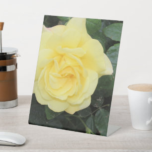 Yello Rose Pedestal Sign