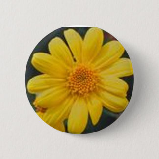 yellow 2 inch round button