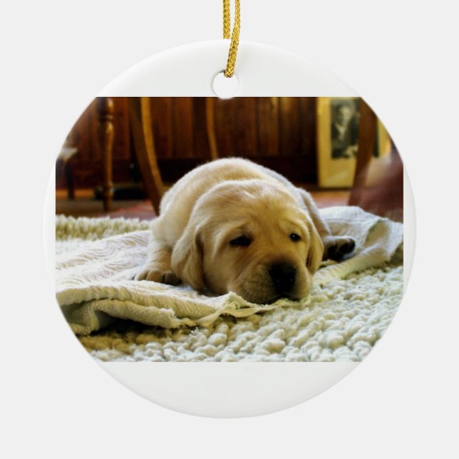yellow 2 lab puppy ceramic ornament (Front)
